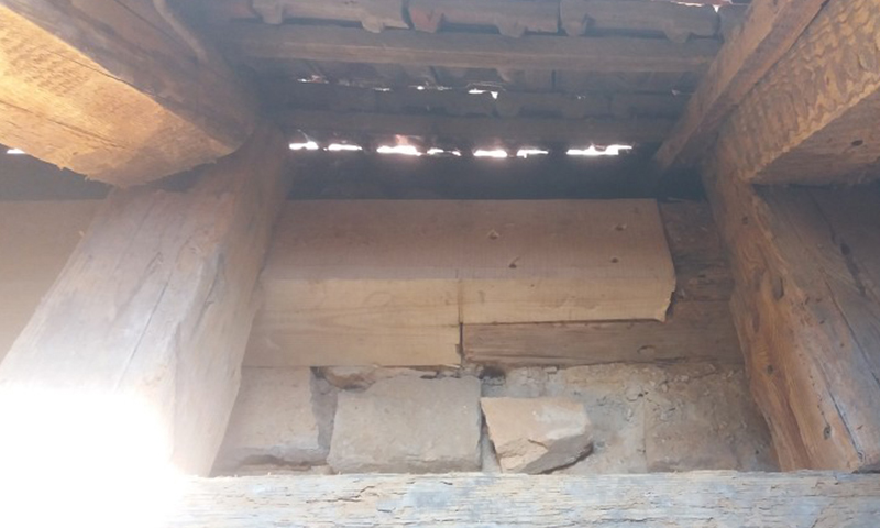 Sanácia dreva poškodeného hmyzom