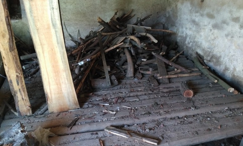 Odborná ochrana krovu