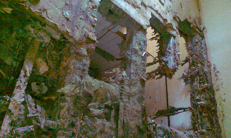 Kompletná sanácia dreva