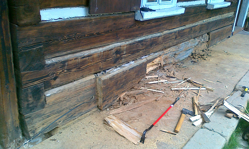 Ošetrenie dreva proti plesniam