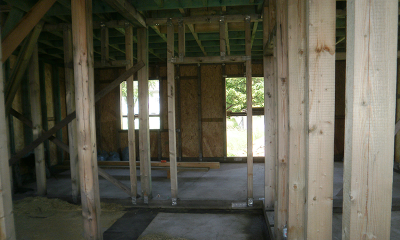 Chemická ochrana proti hnilobe