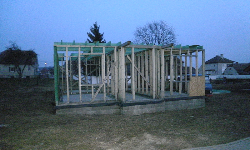 Odstránenie biologického napadnutia dreva