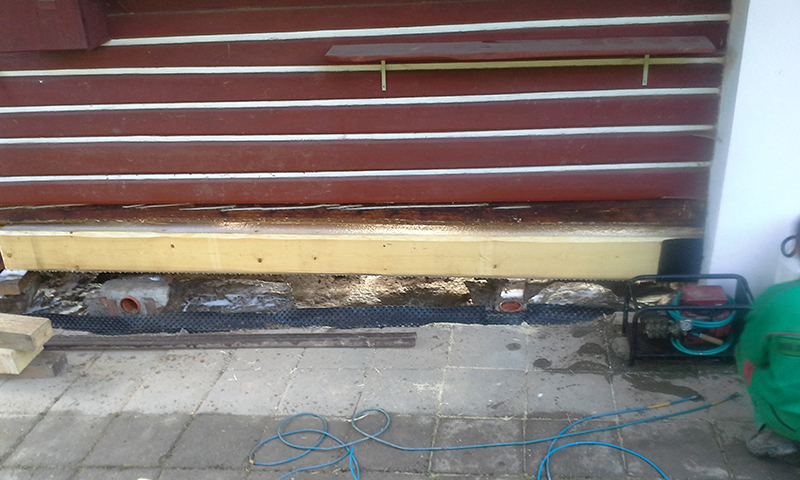 Oprava dreva po červotočovi