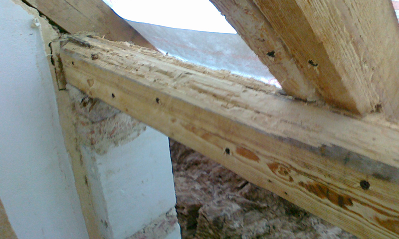 Kompletná ochrana dreva a krovu