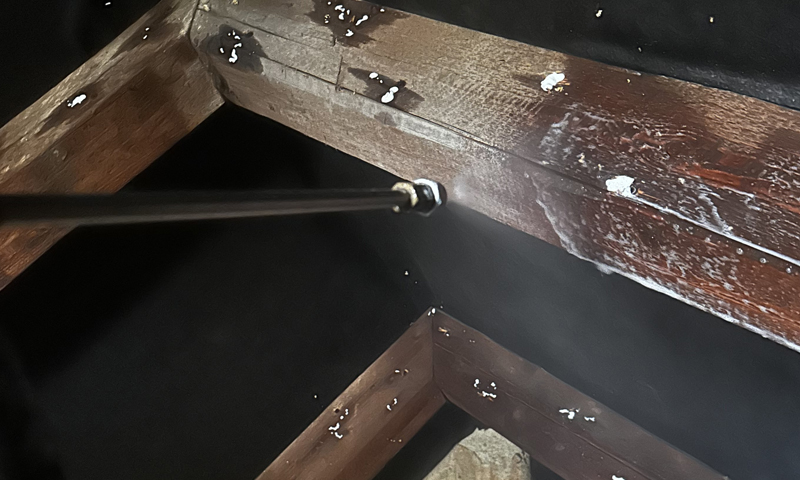 Likvidácia fúzača krovového a sanácia dreva