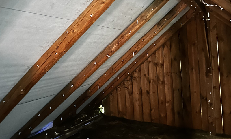 Ochrana dreva a likvidácia škodcov