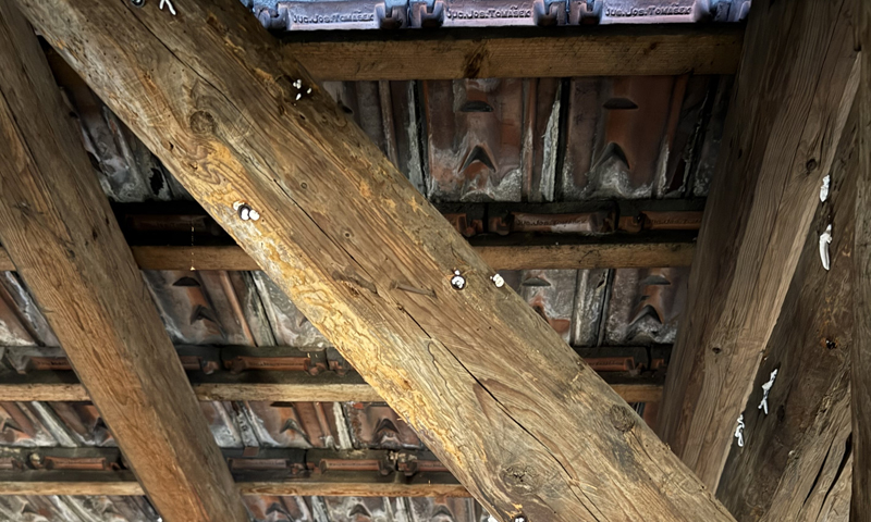 Likvidácia červotoča v podkroví