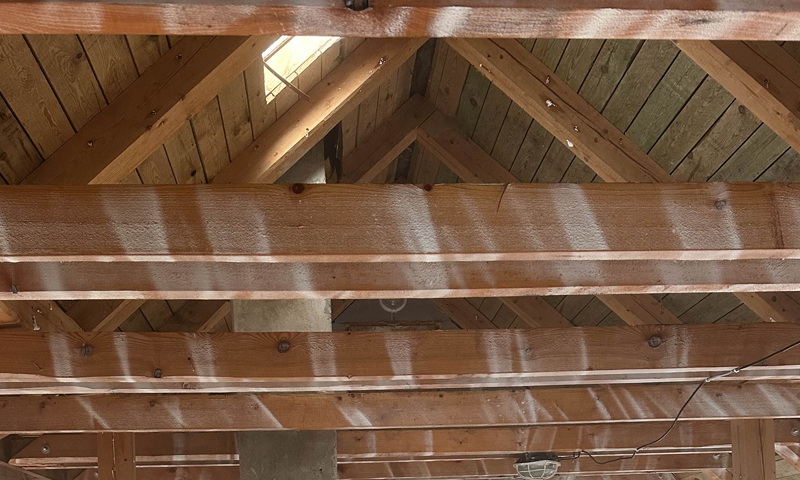 Chemický nástrek krovu proti fúzačovi