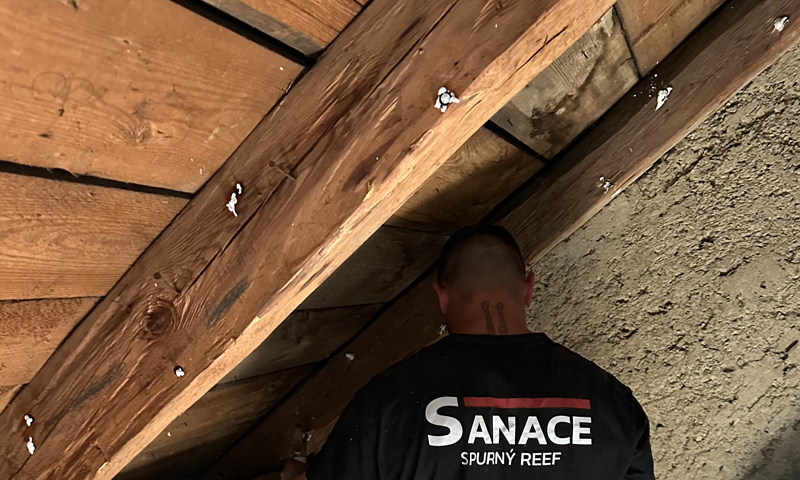 Sanácia drevenice proti červotočom