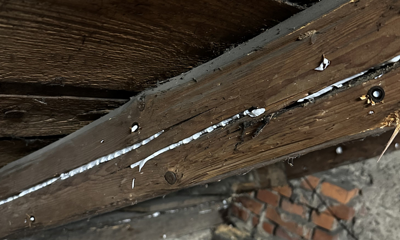 Likvidácia fúzača v krove rodinného domu