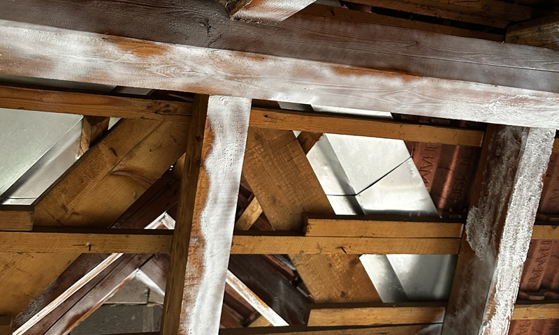 Ošetrenie väzníkového krovu impregnáciou