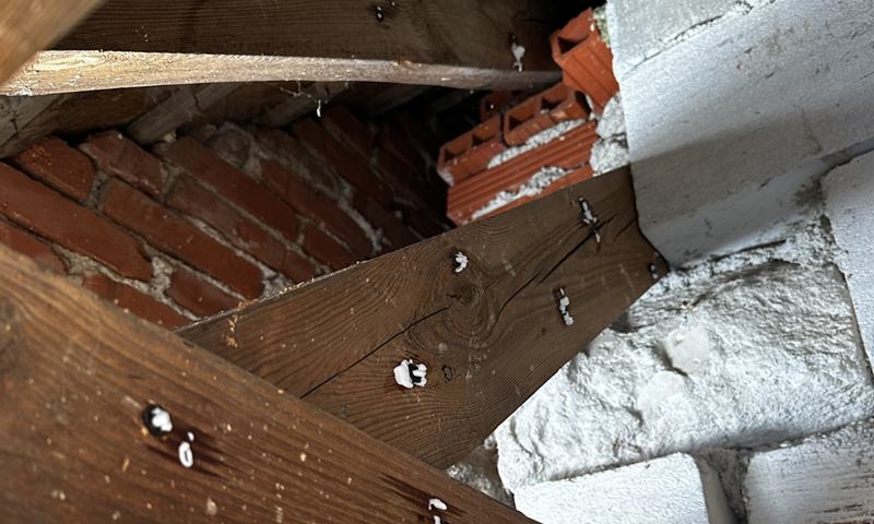 Boj proti drevokaznému hmyzu v dome