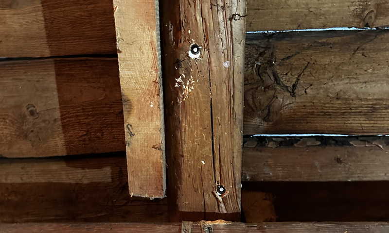 Likvidácia tesaříka (fúzača) na povale