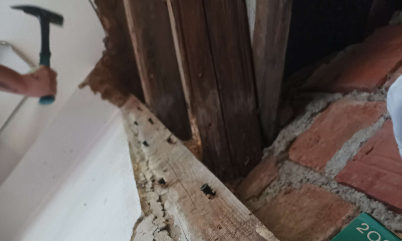 Sanácia vlhkého dreva a likvidácia húb