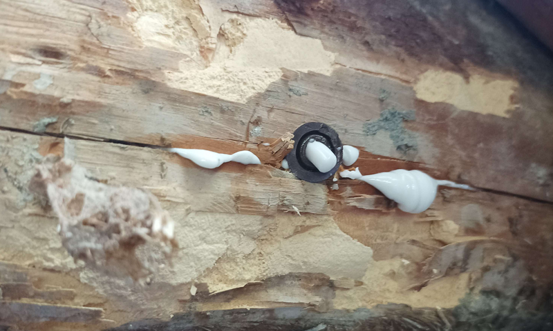 Likvidácia škodcov v drevených obkladoch