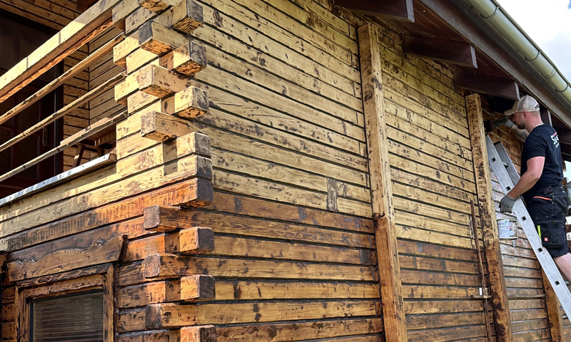 Likvidácia fúzača a červotoča v podkroví