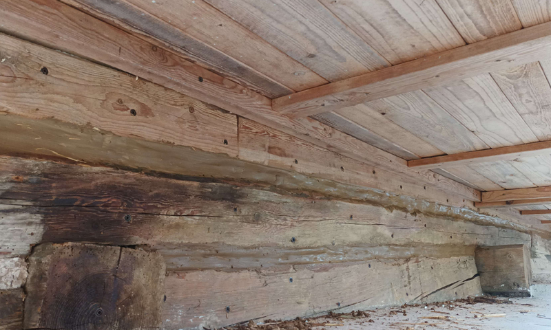 Renovácia a chemická ochrana trámov