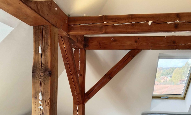 Sanácia krovu rodinného domu – ochrana proti drevokaznému hmyzu