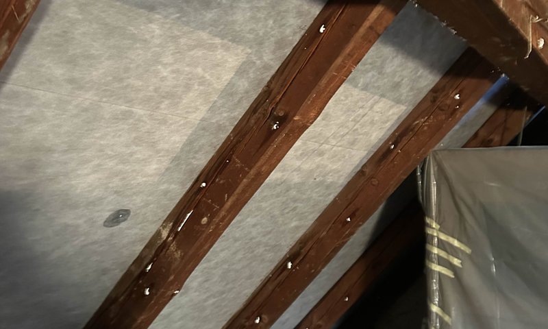 likvidácia červotoča v tráme