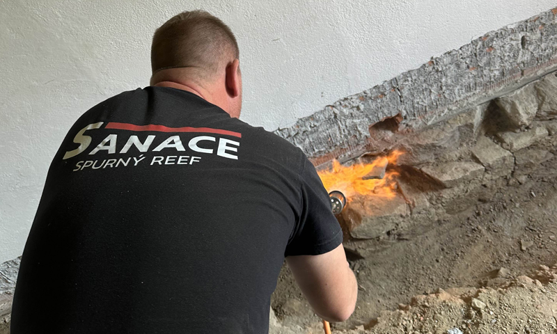 Komplexná likvidácia drevomorky domácej s dlhoročnou zárukou