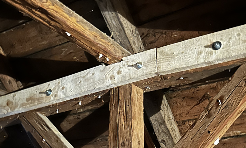 Tlaková injektáž dreva a tesárska oprava krovu