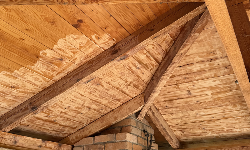 larválne štádium fúzača krovového